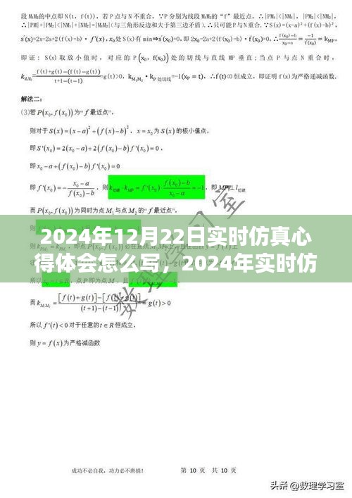 实时仿真心得体会分享，全面评测与介绍（2024年实时仿真体验报告）