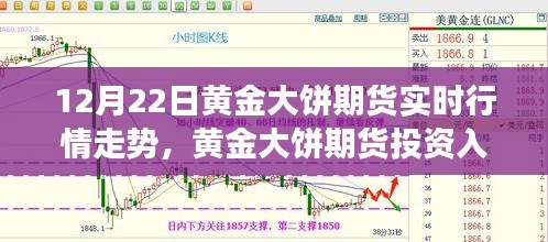 黄金大饼期货投资指南，实时行情走势分析与交易步骤指南（12月22日版）