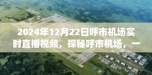 探秘呼市机场，美食之旅与实时直播回顾