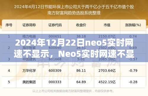 Neo5实时网速不显示问题深度解析与评测——以2024年12月22日为例