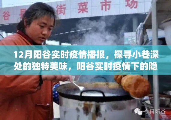 阳谷实时疫情播报下的隐藏美食之旅，探寻小巷深处的独特美味