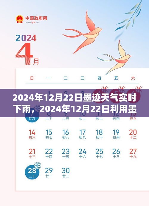 墨迹天气APP实时查看下雨信息指南，如何查看2024年12月22日的实时下雨信息