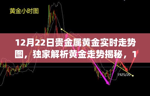 独家解析，黄金走势揭秘，贵金属黄金实时行情洞察报告（12月22日）