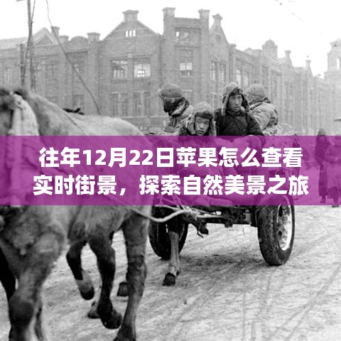 苹果地图实时街景探索，重温12月22日美景，心灵与自然之旅