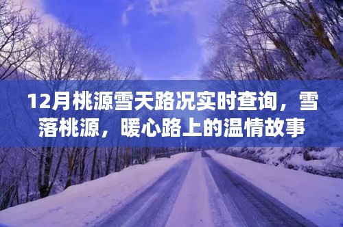 雪落桃源，实时路况查询与暖心路上的温情故事