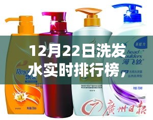 12月22日洗发水实时排行榜深度评测与介绍全解析
