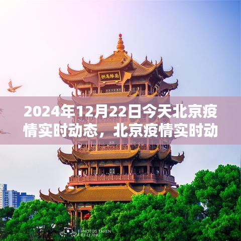 北京疫情实时动态，聚焦2024年12月22日的抗疫之路进展报告