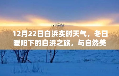 冬日暖阳下的白浜之旅，实时天气与自然美景的邂逅，探寻内心宁静的旅程
