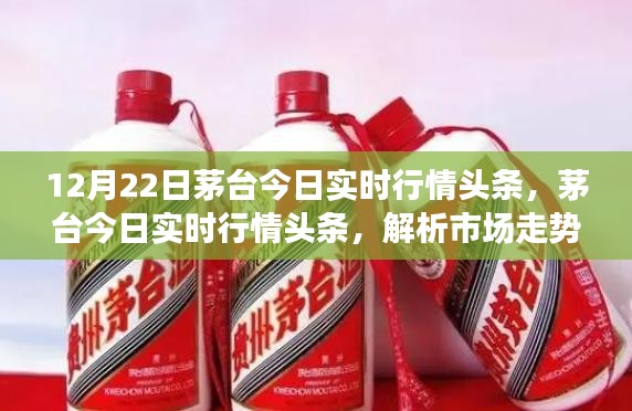 茅台今日行情解析，市场走势与多方观点热议