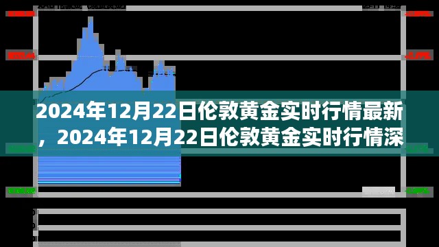 2024年12月22日伦敦黄金实时行情解析与深度探讨