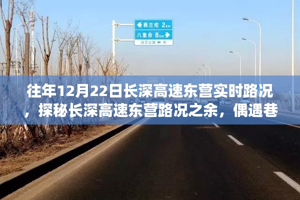 长深高速东营路况探秘与巷弄深处的独特小店奇遇记
