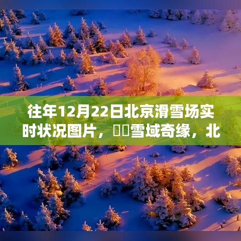 北京滑雪场雪域奇缘，12月22日真实瞬间之旅的实时状况图片展示