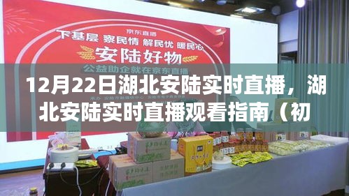 湖北安陆实时直播观看指南，初学者与进阶用户适用，12月22日直播活动介绍