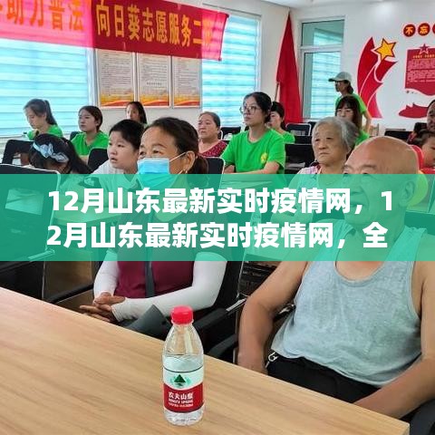 山东最新实时疫情网全面评测与深度介绍