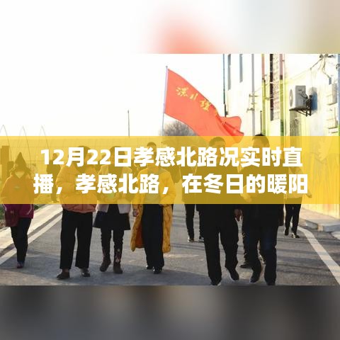 孝感北路路况直播，冬阳下的心灵宁静探寻之旅