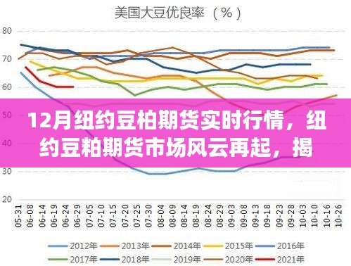 揭秘纽约豆粕期货市场风云，十二月实时行情深度解析