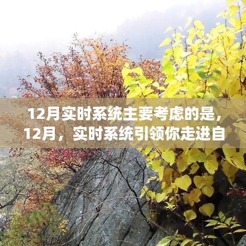 12月实时系统，心灵之旅启程于自然美景的引领