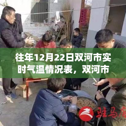 双河市冬至日气温纪实，变迁、影响及历年数据对比分析