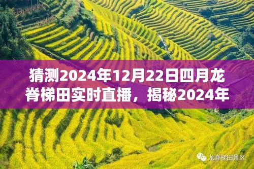 揭秘龙脊梯田四季更迭之美，2024年12月22日实时直播前瞻与揭秘活动！