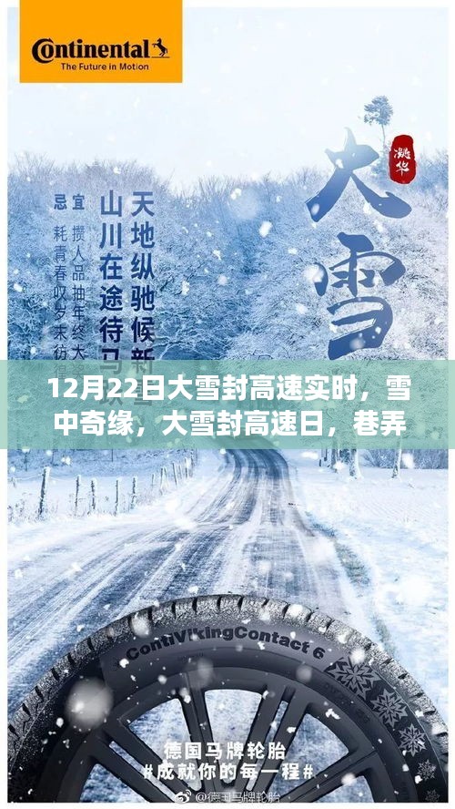 雪中奇缘，大雪封高速下的温暖小店故事
