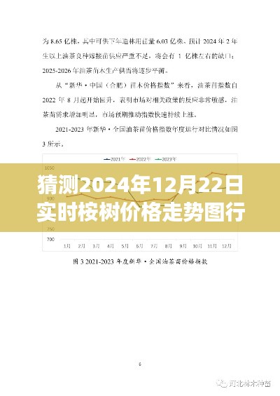 多元视角探讨，预测未来桉树价格走势图行情，解析与预测至2024年
