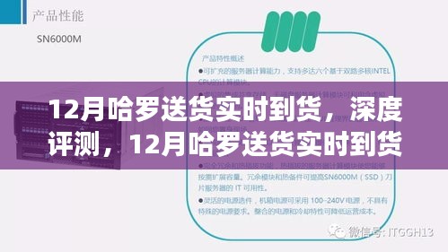 12月哈罗送货实时到货服务深度评测，全面解析体验