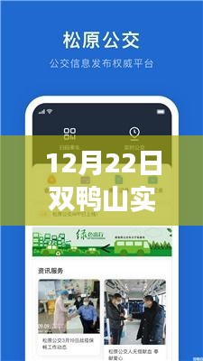 双鸭山实时公交app使用指南，初学者与进阶用户适用，12月22日最新发布