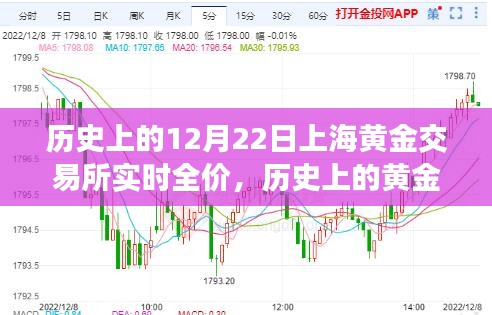 历史上的黄金时刻，上海黄金交易所闪耀与成长之路的见证者实时全价回顾