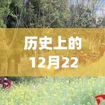宜昌雨中的温馨日常，友谊与陪伴的故事在雨中展开