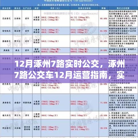 涿州7路公交车12月实时动态与运营指南，轻松出行参考
