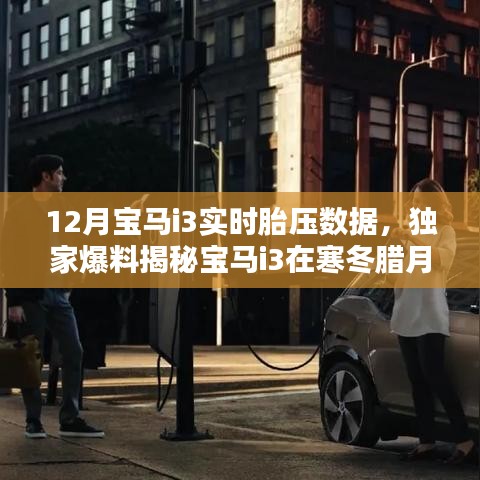 独家揭秘，宝马i3冬季实时胎压数据详解，行车无忧的秘诀！