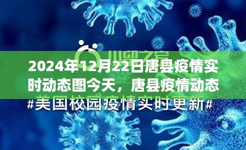 2024年12月22日唐县疫情实时动态分析与观点聚焦
