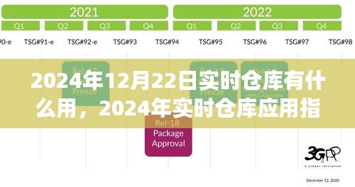 2024年实时仓库应用指南，高效任务完成与仓库管理系统的利用