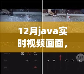 Java实时视频探索自然美景之旅，与自然共舞，追寻内心宁静和平和