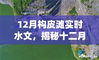 揭秘十二月构皮滩实时水文，掌握最新动态，探索自然奥秘的奥秘。