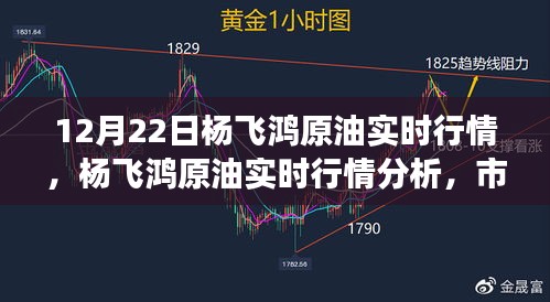 杨飞鸿原油实时行情解析与市场走势多元观点探讨