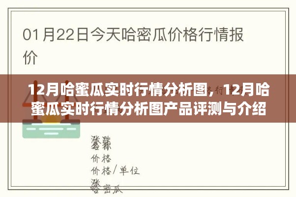产品评测