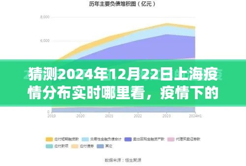 上海疫情分布实时追踪，温情寻觅，共度时光的挑战之路