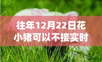 花小猪冬至日心灵之旅，远离尘嚣，探索自然美景不受实时单打扰