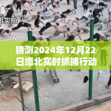 缅北实时抓捕行动预测，未来日期行动揭秘