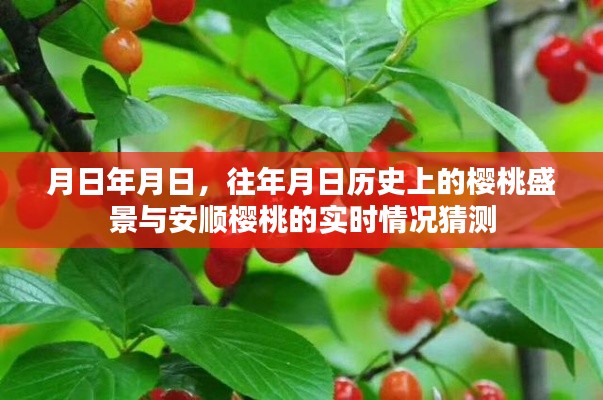 指李推张 第3页
