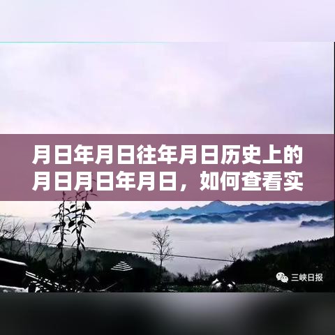 如何查看实时日志数据库的历史演变与当前动态