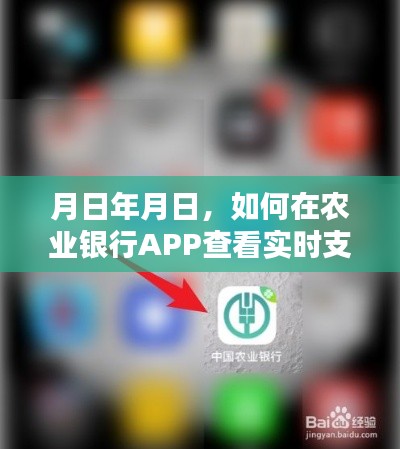 农业银行APP实时支付查看攻略