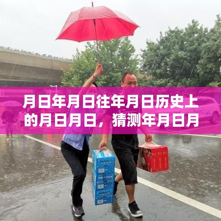 月日月日历史与路况实时查询网