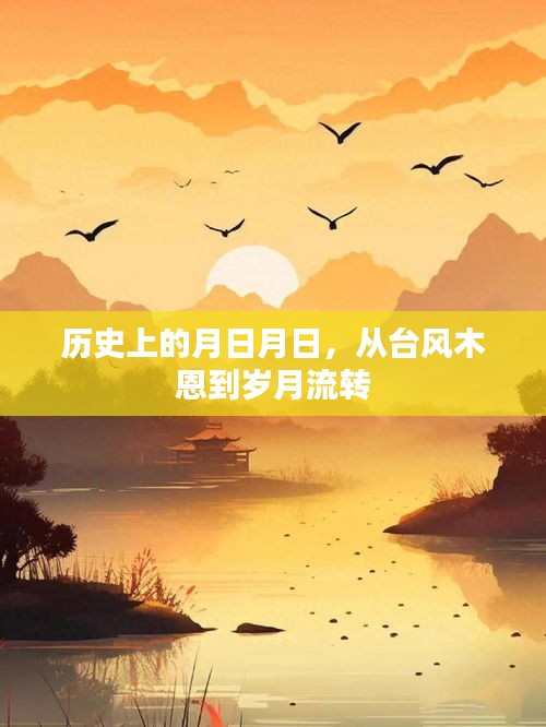 岁月流转，从台风木恩探寻历史印记