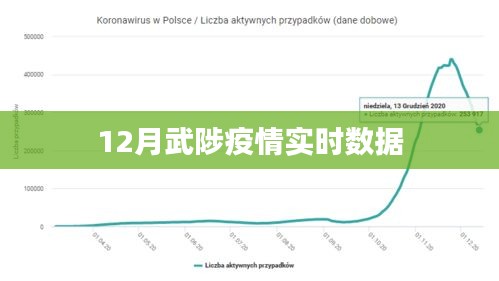 武陟县疫情实时数据更新（最新报告）