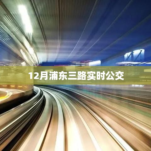 浦东三路实时公交路线查询