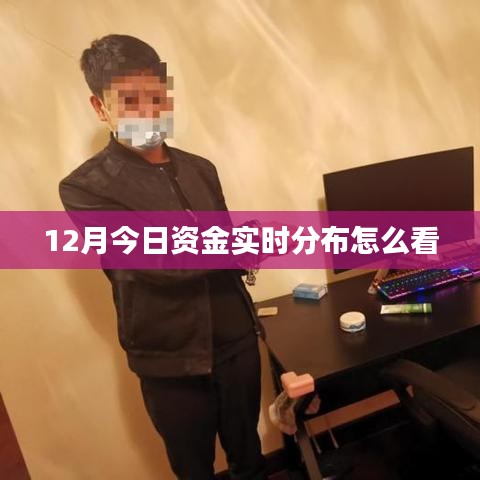 12月资金实时分布解析，掌握今日资金流向