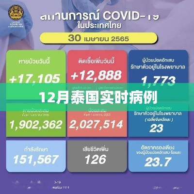 泰国十二月实时疫情状况