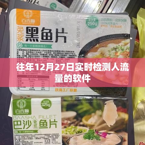 12月27日实时检测人流量的软件介绍